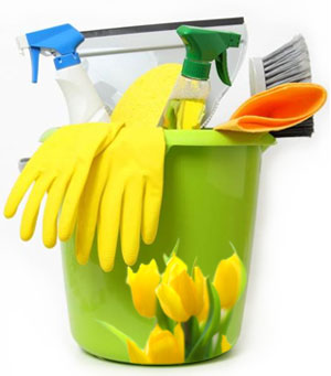 Spring cleaning bucket.jpg